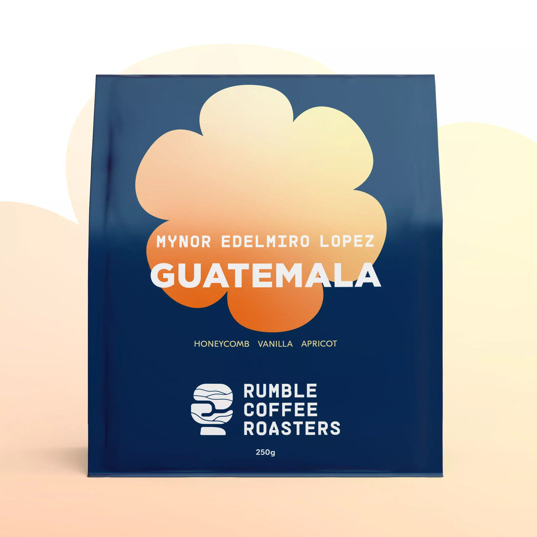 Guatemala Mynor Edelmiro Lopez Filter - Rumble Coffee