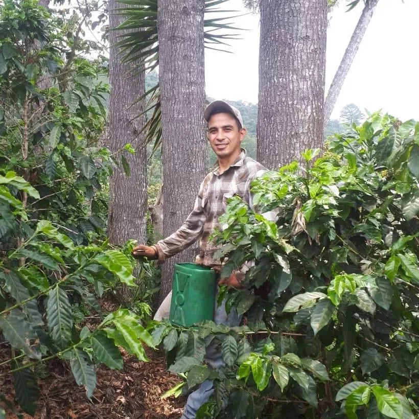 Guatemala Marlon El Valle Espresso - Rumble Coffee